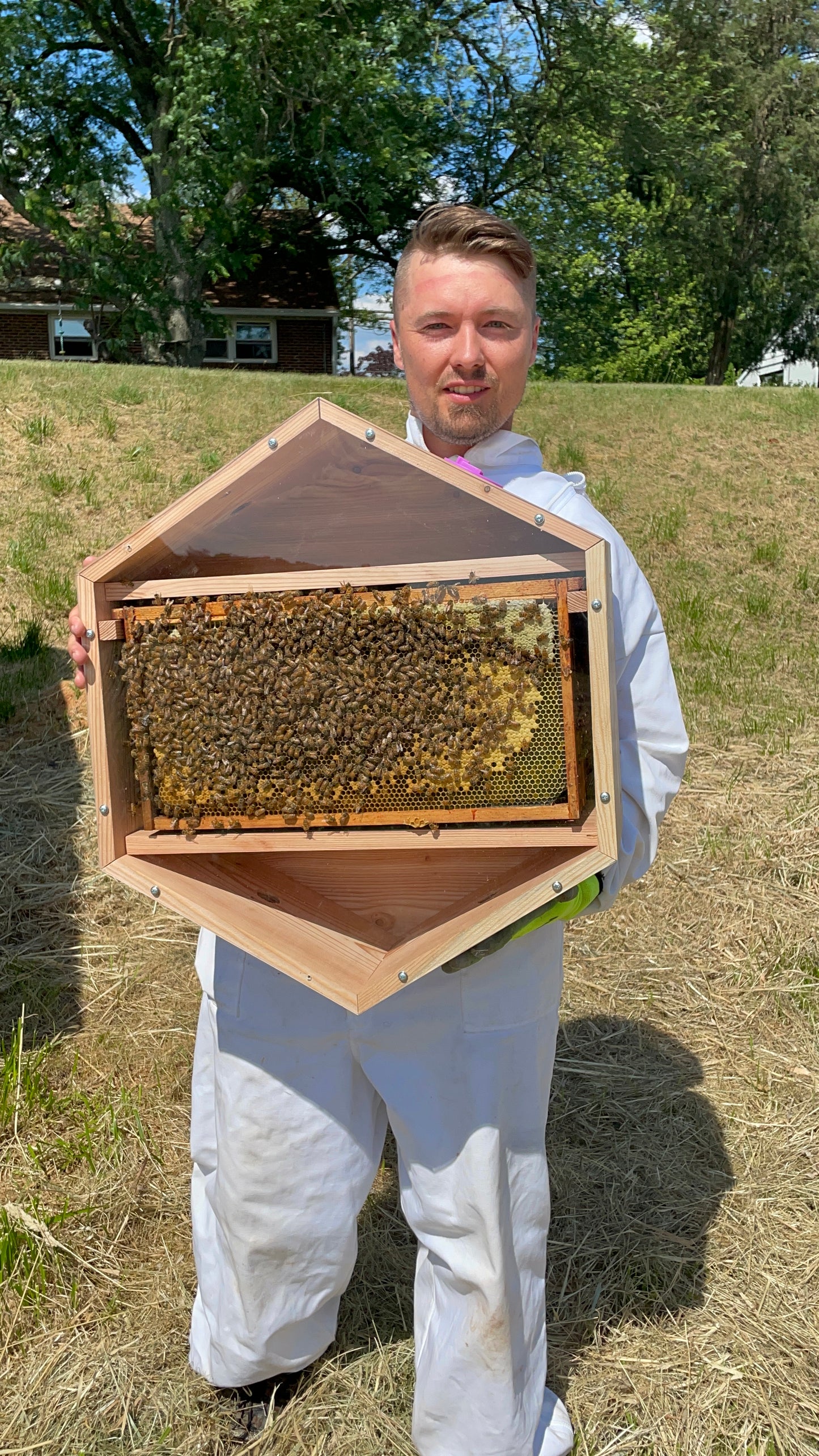 V3 Indoor Modular Observation Honeybee Hive Box w/ 5 frames (Double)