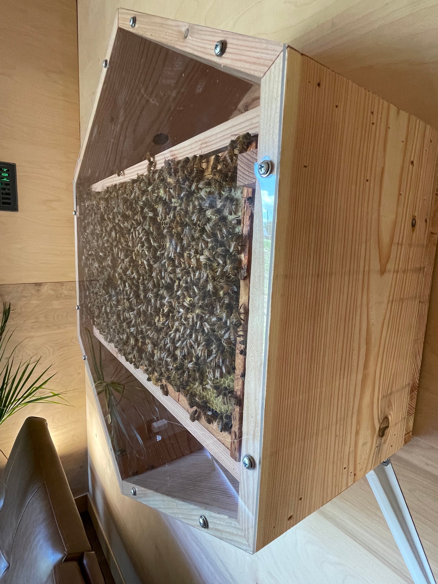 V3 Indoor Modular Observation Honeybee Hive Box w/ 5 frames (Double)